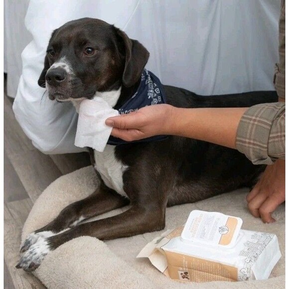 3 Pack Paws & Pals Pet Grooming Oatmeal Scent Wipes Hypo Allergenic Cleansing - Picture 2 of 6